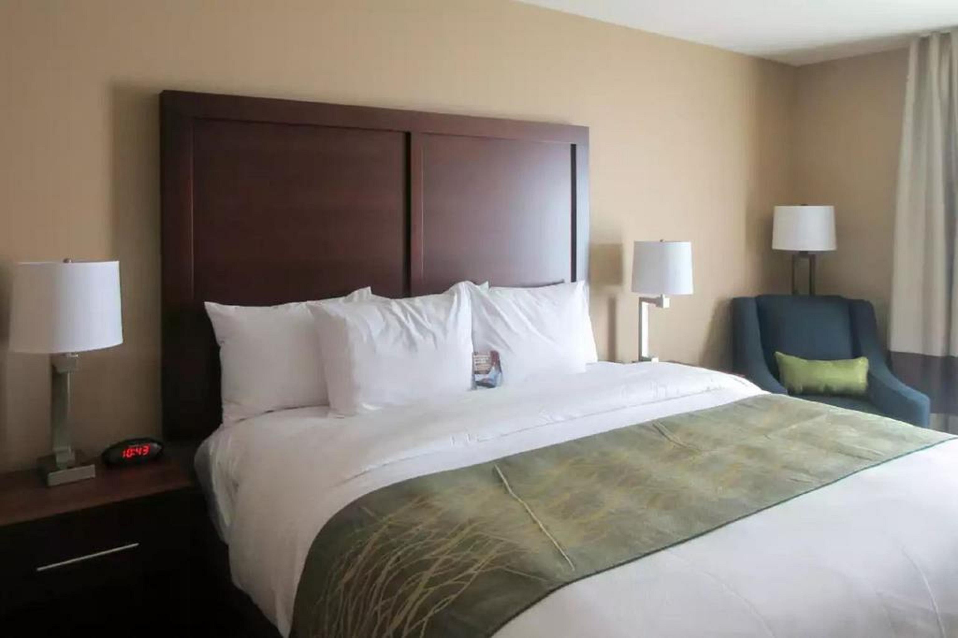 Comfort Inn & Suites - Harrisburg Airport - Hershey South Middletown  Ngoại thất bức ảnh